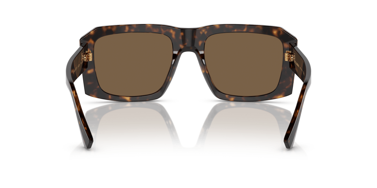 משקפי שמש דולצ'ה וגבאנה הוואנה-חום כהה | Dolce&Gabbana DG4430 Havana-Dark Brown
