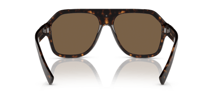 Dolce &amp; Gabbana Sunglasses Havana-Dark Brown | Dolce&amp;Gabbana DG4433 Havana-Dark Brown