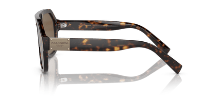 Dolce &amp; Gabbana Sunglasses Havana-Dark Brown | Dolce&amp;Gabbana DG4433 Havana-Dark Brown