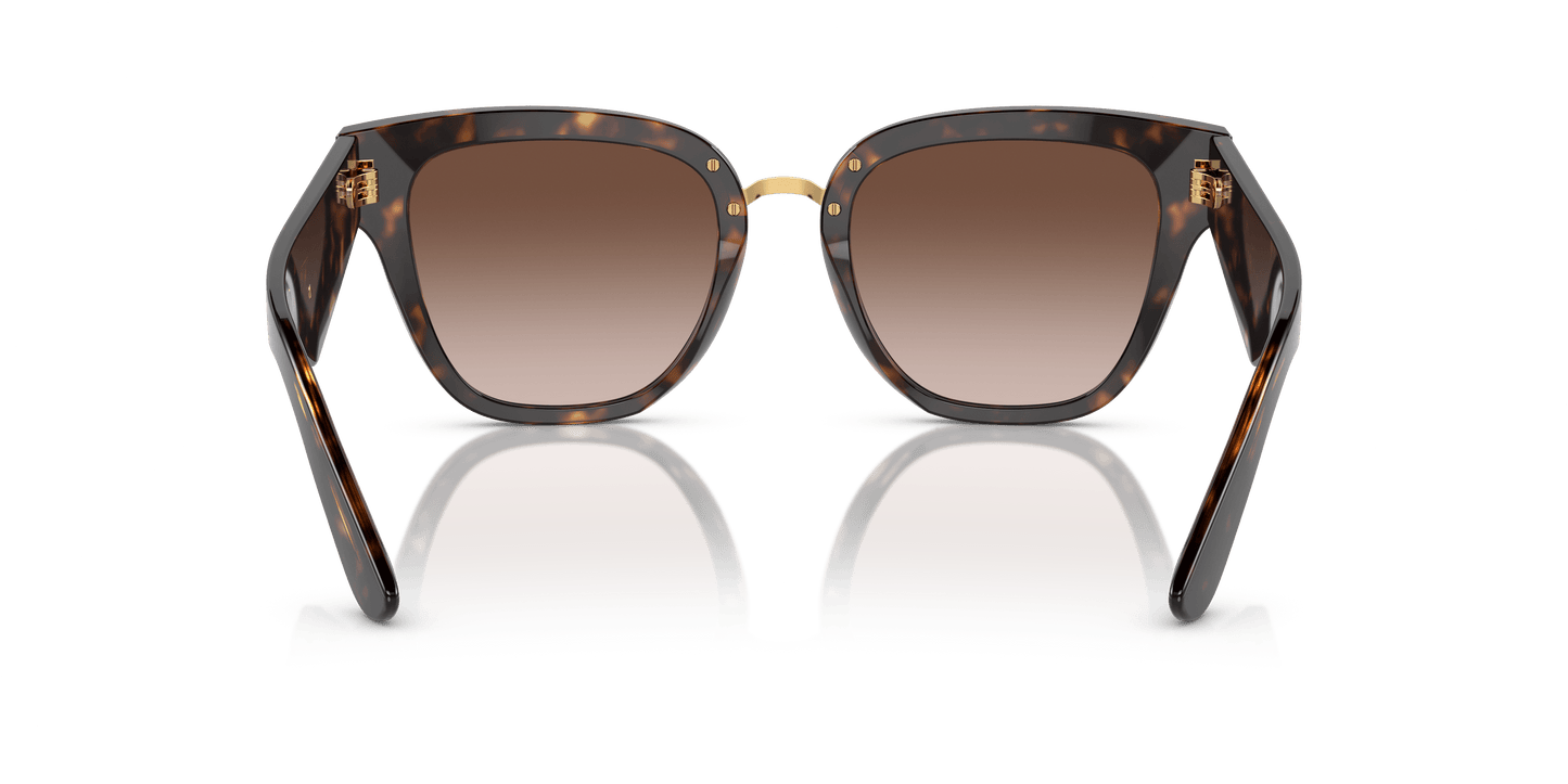 דולצ'ה וגבאנה משקפי שמש חום מדורג האוונה | Dolce&Gabbana DG4437 Havana-Gradient Brown