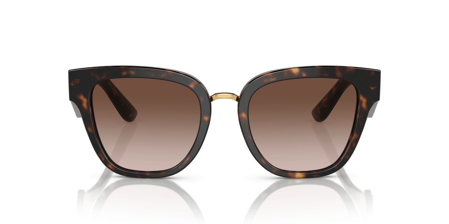 דולצ'ה וגבאנה משקפי שמש חום מדורג האוונה | Dolce&Gabbana DG4437 Havana-Gradient Brown
