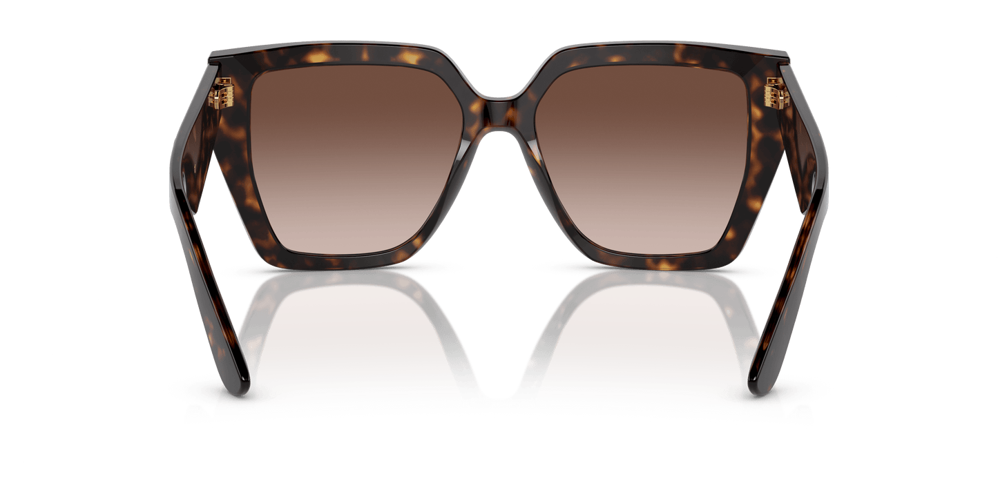 דולצ'ה וגבאנה משקפי שמש הבנה-גרדיינט חום | Dolce&Gabbana DG4438 Havana-Gradient Brown