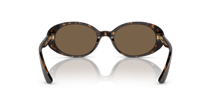 Dolce &amp; Gabbana Sunglasses Havana-Dark Brown | Dolce&amp;Gabbana DG4443 Havana-Dark Brown