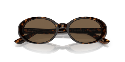 Dolce &amp; Gabbana Sunglasses Havana-Dark Brown | Dolce&amp;Gabbana DG4443 Havana-Dark Brown