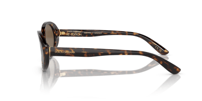 Dolce &amp; Gabbana Sunglasses Havana-Dark Brown | Dolce&amp;Gabbana DG4443 Havana-Dark Brown
