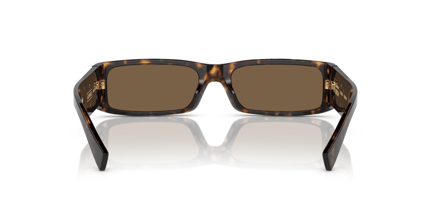 משקפי שמש דולצ'ה וגבאנה הוואנה-חום כהה | Dolce&Gabbana DG4444 Havana-Dark Brown