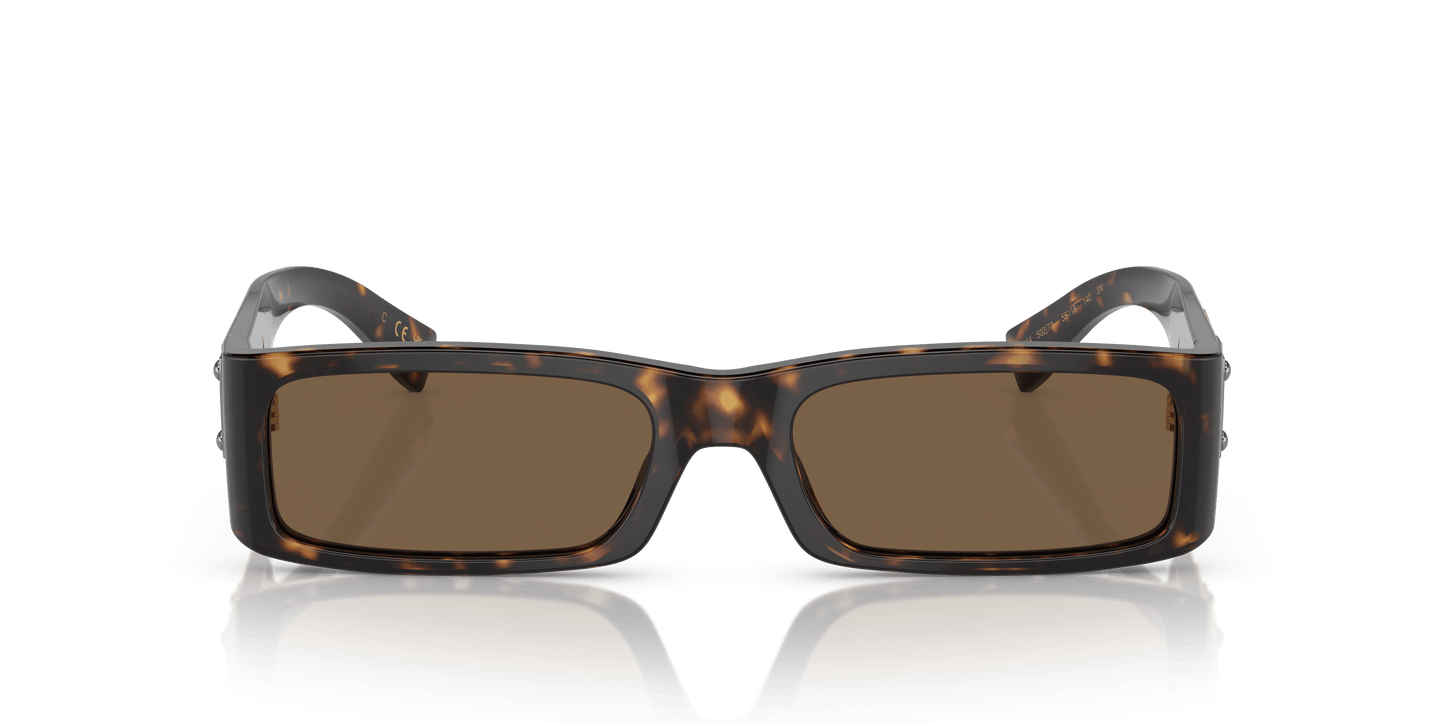 משקפי שמש דולצ'ה וגבאנה הוואנה-חום כהה | Dolce&Gabbana DG4444 Havana-Dark Brown