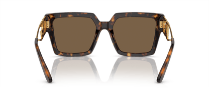 Dolce &amp; Gabbana Sunglasses Havana-Dark Brown | Dolce&amp;Gabbana DG4446B Havana-Dark Brown