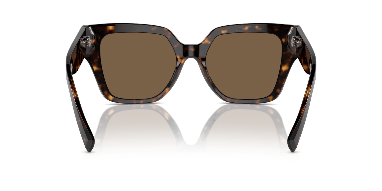 משקפי שמש דולצ'ה וגבאנה הוואנה-חום כהה | Dolce&Gabbana DG4471 Havana-Dark Brown