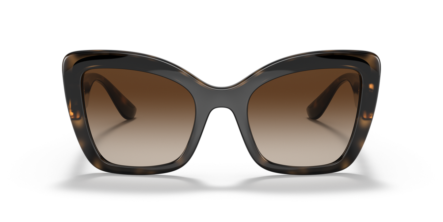 Dolce &amp; Gabbana Sunglasses Havana/Black-Gradient Brown | Dolce&amp;Gabbana DG6170 Havana/Black-Gradient Brown