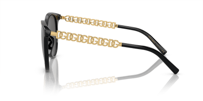 משקפי שמש דולצ'ה וגבאנה שחור-אפור כהה | Dolce&Gabbana DG6189U Black-Dark Grey