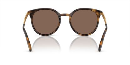 משקפי שמש דולצ'ה וגבאנה הוואנה-חום כהה | Dolce&Gabbana DG6189U Havana-Dark Brown