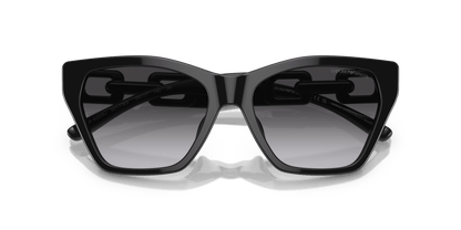 משקפי שמש של דולצ'ה וגבאנה עשן שחור מבריק | Emporio Armani EA4203U Shiny Black-Gradient Smoke