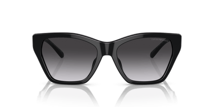 משקפי שמש של דולצ'ה וגבאנה עשן שחור מבריק | Emporio Armani EA4203U Shiny Black-Gradient Smoke
