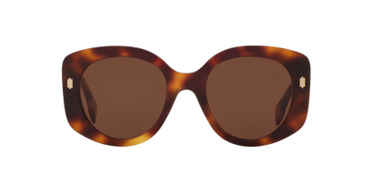 Fendi Roma Sunglasses Tortoise-Brown | FENDI Fendi Roma FE40137I Tortoise-Brown