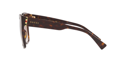 משקפי שמש של גוצ'י צב-חום | GUCCI GG0459S Tortoise-Brown