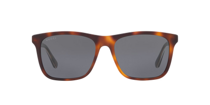 Gucci sunglasses brown-brown | GUCCI GG0381SN Brown-Brown