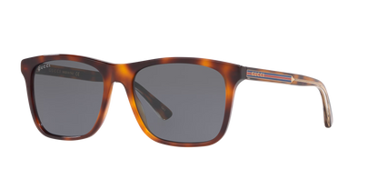 Gucci sunglasses brown-brown | GUCCI GG0381SN Brown-Brown