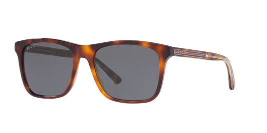 Gucci sunglasses brown-brown | GUCCI GG0381SN Brown-Brown