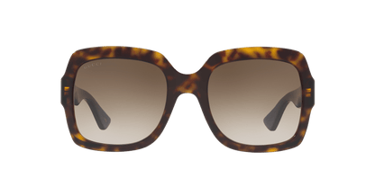 Gucci Brown-Blue Sunglasses | GUCCI GG0036SN Brown-Blue