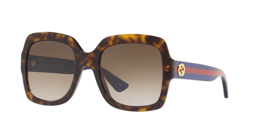 Gucci Brown-Blue Sunglasses | GUCCI GG0036SN Brown-Blue