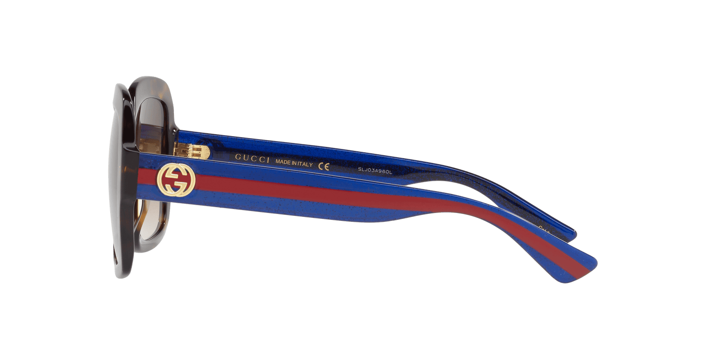 Gucci Brown-Blue Sunglasses | GUCCI GG0036SN Brown-Blue
