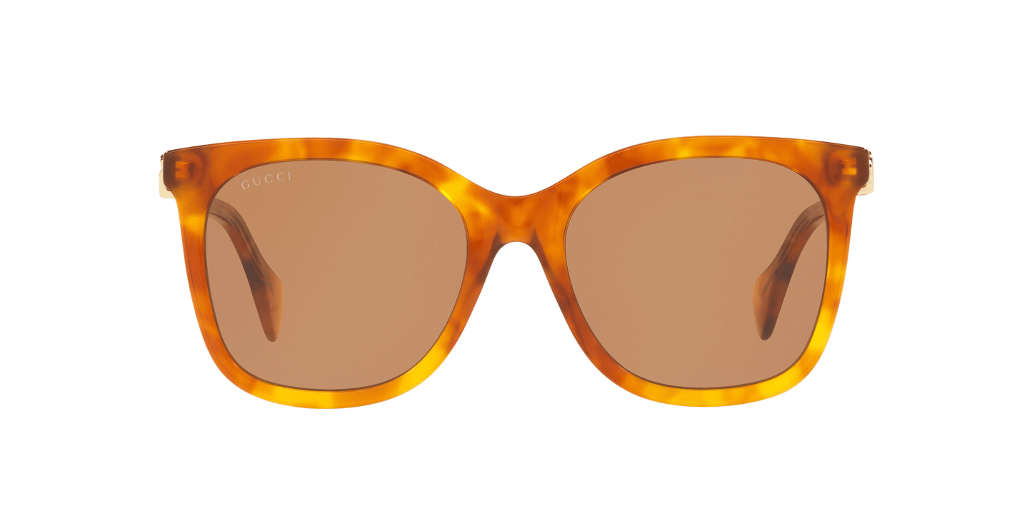 משקפי שמש של גוצ'י בראון | GUCCI GG1071S Brown