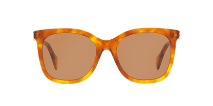 משקפי שמש של גוצ'י בראון | GUCCI GG1071S Brown