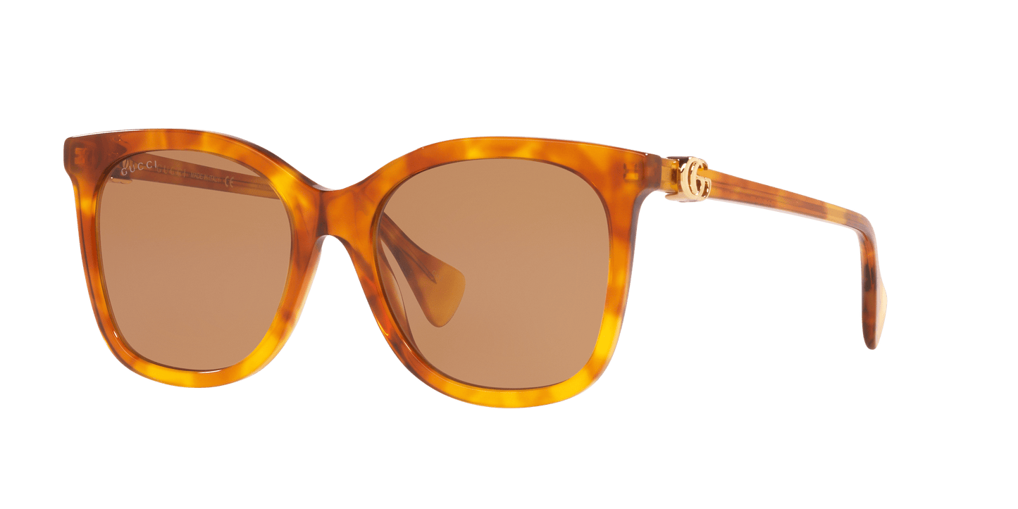 משקפי שמש של גוצ'י בראון | GUCCI GG1071S Brown
