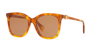 משקפי שמש של גוצ'י בראון | GUCCI GG1071S Brown