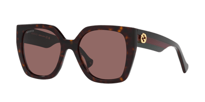 משקפי שמש של גוצ'י צב-חום | GUCCI GG1300S Tortoise-Brown
