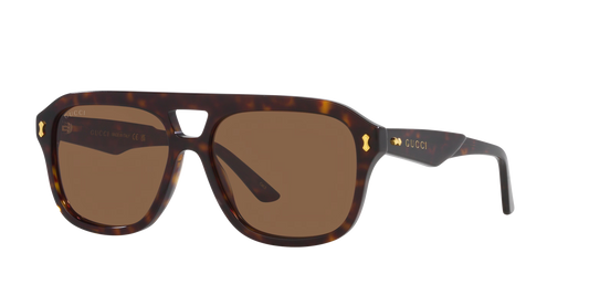 משקפי שמש של גוצ'י צב-חום | GUCCI GG1263S Tortoise-Brown