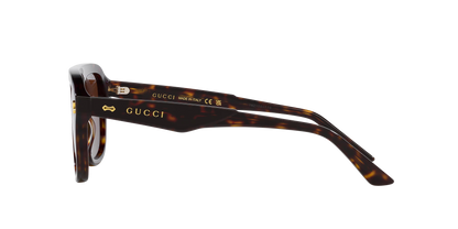 משקפי שמש של גוצ'י צב-חום | GUCCI GG1263S Tortoise-Brown