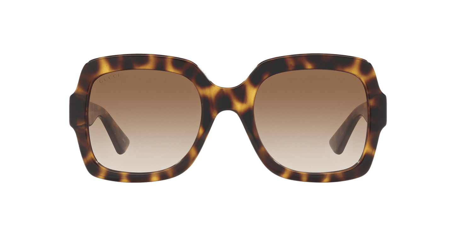 משקפי שמש של גוצ'י צב-חום | GUCCI GG1337S Tortoise-Brown