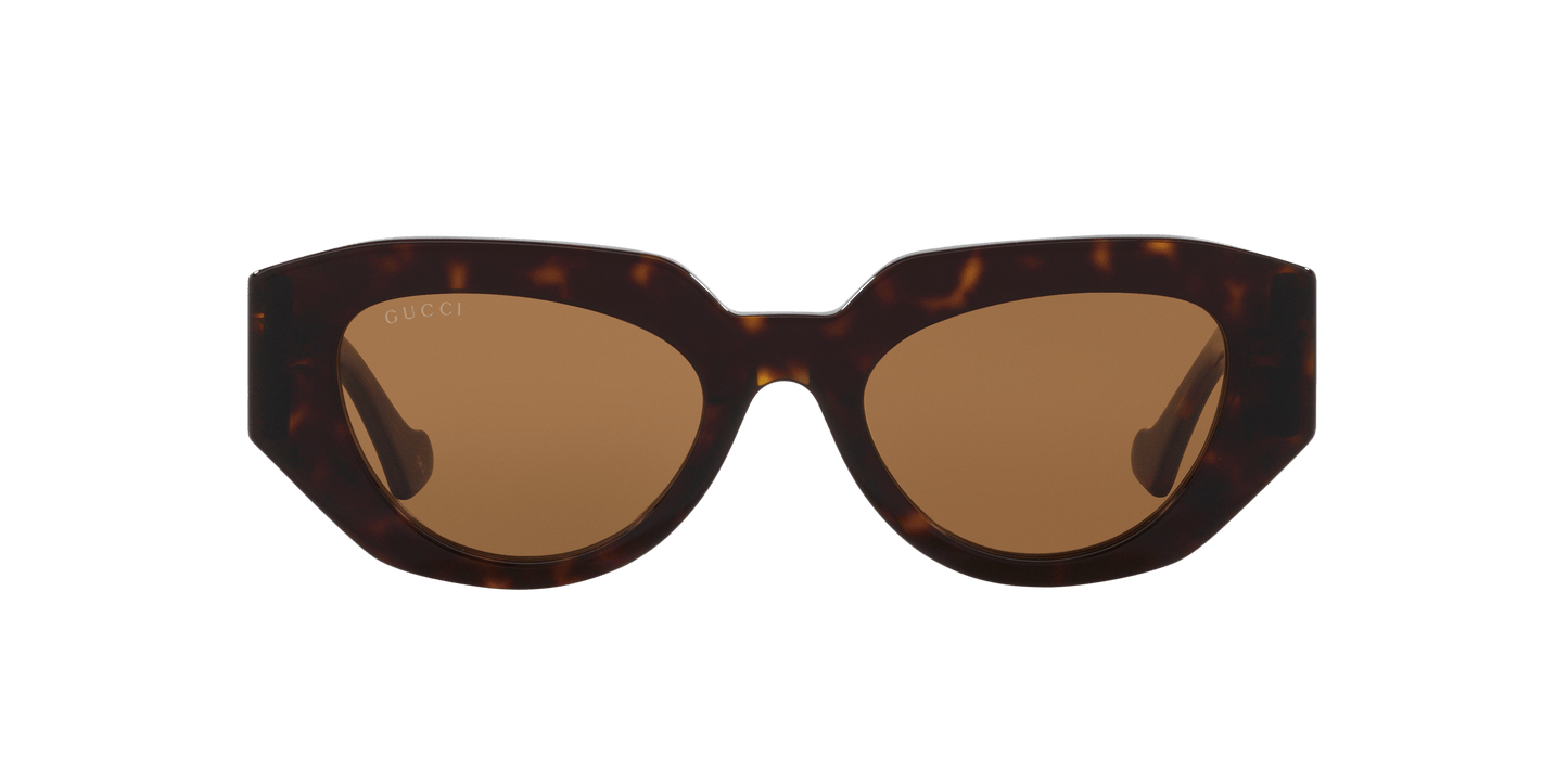 משקפי שמש של גוצ'י צב-חום | GUCCI GG1421S Tortoise-Brown