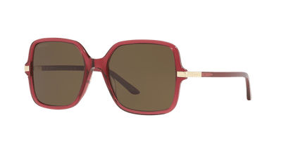 משקפי שמש של גוצ'י בורדו-חום | GUCCI GG1449S Burgundy-Brown