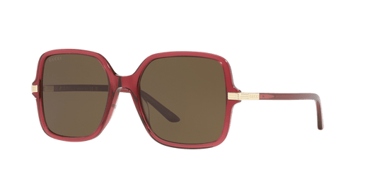 משקפי שמש של גוצ'י בורדו-חום | GUCCI GG1449S Burgundy-Brown