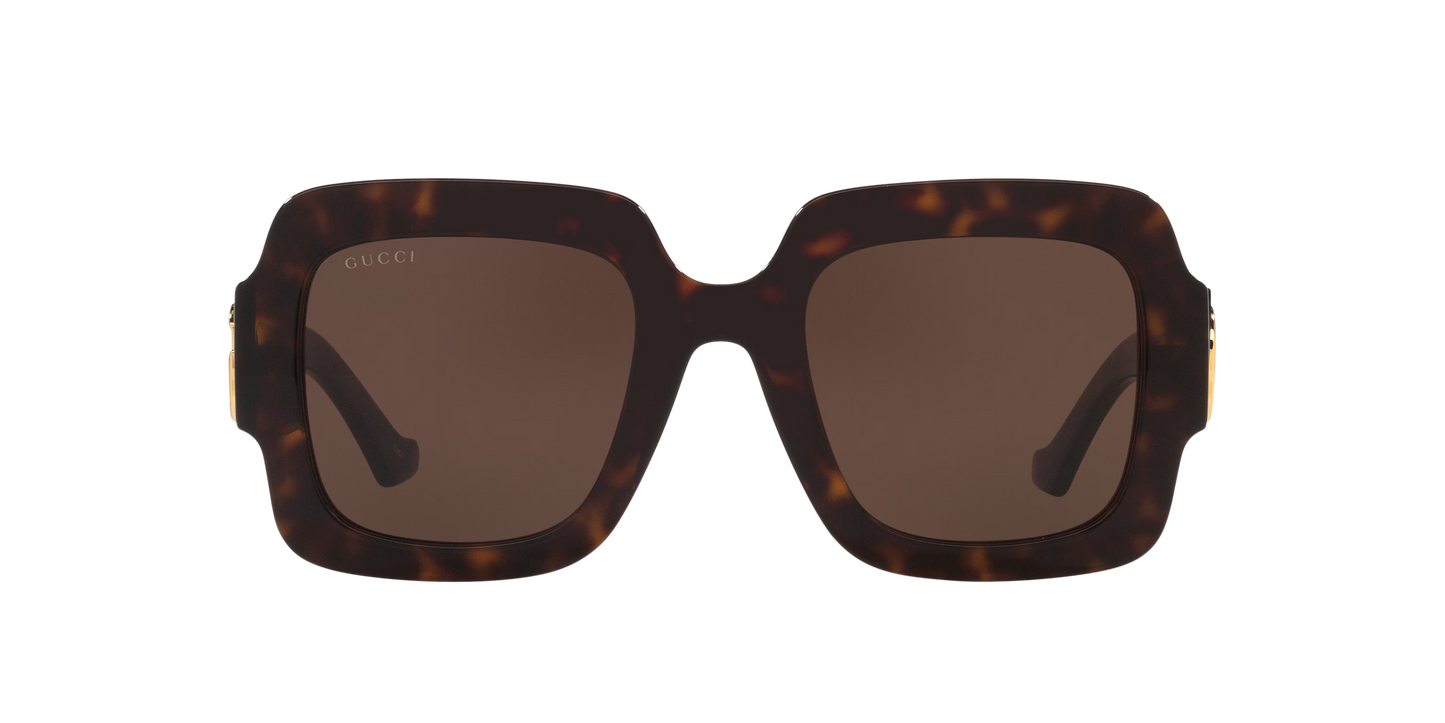 משקפי שמש של גוצ'י צב-חום | GUCCI GG1547S Tortoise-Brown