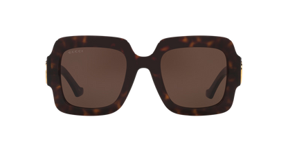 משקפי שמש של גוצ'י צב-חום | GUCCI GG1547S Tortoise-Brown