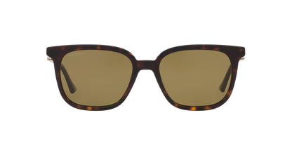 משקפי שמש של גוצ'י צב-ירוק | GUCCI GG1493S Tortoise-Green