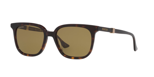 Gucci Tortoise-Green Sunglasses | GUCCI GG1493S Tortoise-Green