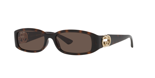 משקפי שמש של גוצ'י צב-חום | GUCCI GG1661S Tortoise-Brown