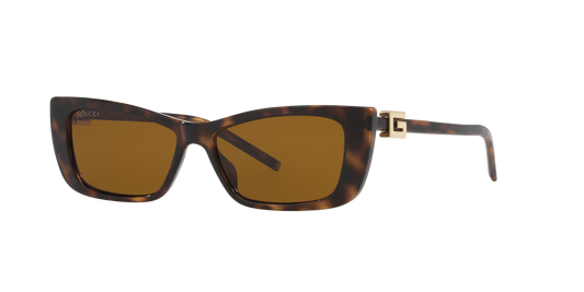 משקפי שמש של גוצ'י צב-חום | GUCCI GG1681S Tortoise-Brown