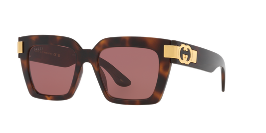 משקפי שמש של גוצ'י צב-סיגלית | GUCCI GG1689S Tortoise-Violet