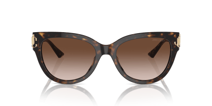 משקפי שמש ג'ימי צ'ו בצבע חום הוואנה | JIMMY CHOO JC5018U Havana-Gradient Brown