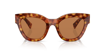 משקפי שמש מיו מיו צב-חום | MIU MIU MU 01YS Tortoise-Brown