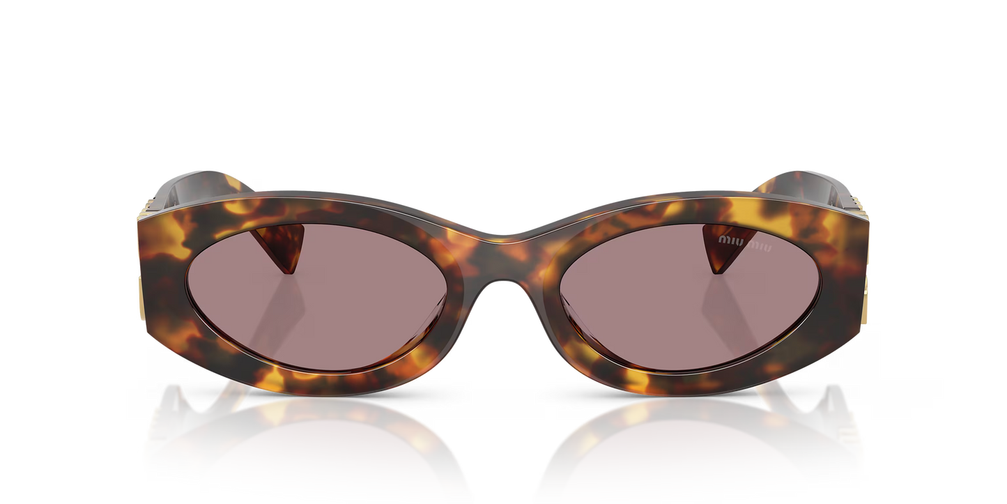 משקפי שמש מיו מיו צב-סיגלית | MIU MIU MU 11WS Tortoise-Violet
