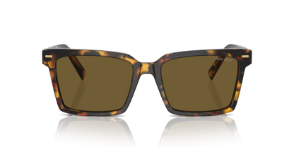 משקפי שמש מיו מיו צב-חום | MIU MIU MU 13ZS Tortoise-Brown