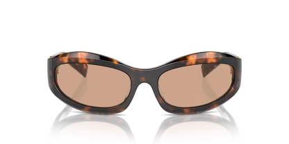 משקפי שמש מיו מיו צב-חום | MIU MIU MU 14ZS Tortoise-Brown