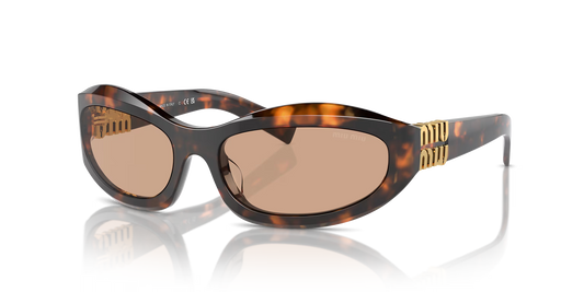 משקפי שמש מיו מיו צב-חום | MIU MIU MU 14ZS Tortoise-Brown